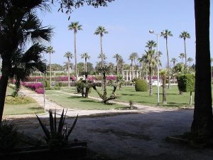 301772646 1283084789099898 6273057993420809858 n تعرف علي أقدم حديقة في العالم.. هل تختفي؟!