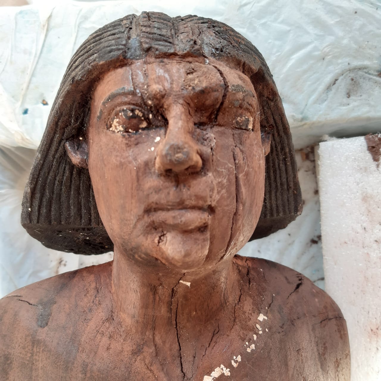 1 18 في مؤتمر صحي عالمي قريباً: مصر تعلن عن أكبر اكتشاف أثري في 2020