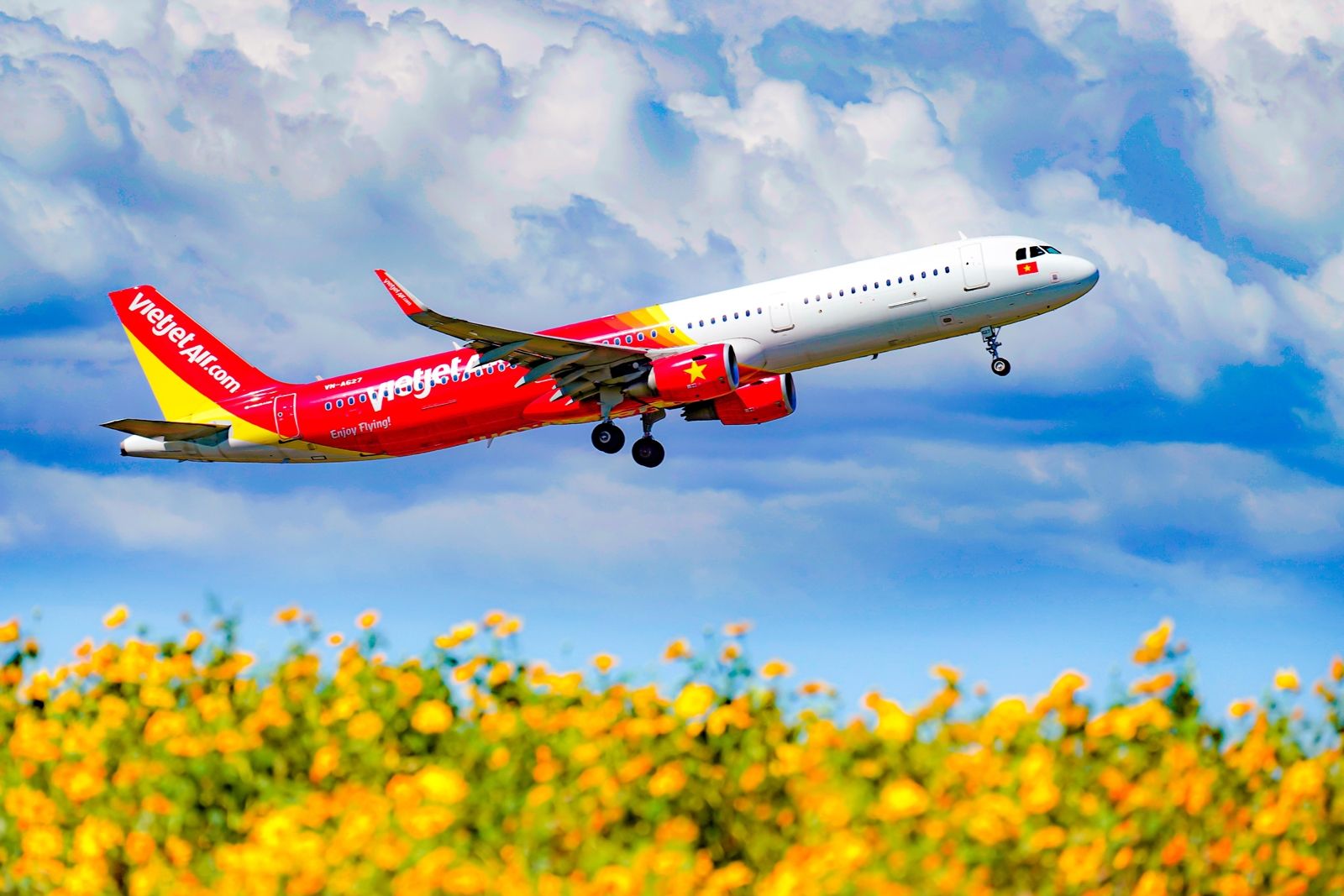 Vietjet airplane flying over wild sunflowers فيت جيت تستأنف الرحلات الدولية