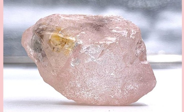 أنغولا: العثور على الماس الوردي العملاق لولو روز بوزن 170 قيراطًا في منجم لولو في لوكابا
