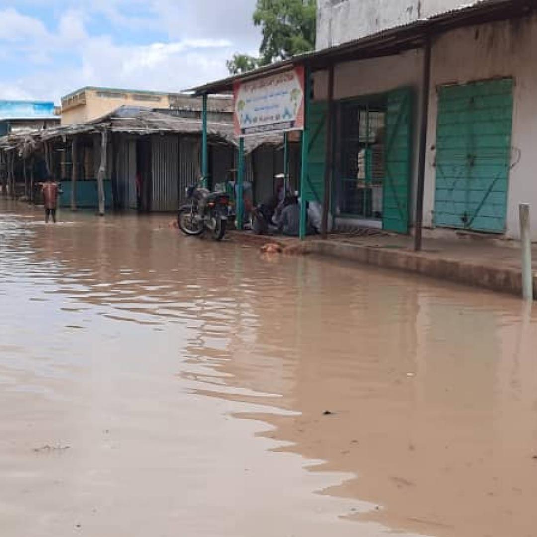 السودان : إنهيار ١٨٠ منزلا جراء الفيضانات والسيول بولاية وسط دارفور