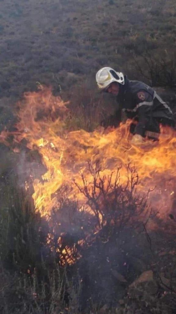FB IMG 1660809399954 الجزائر .. وفاة 26 مواطنا جراء حرائق بشرقي البلاد
