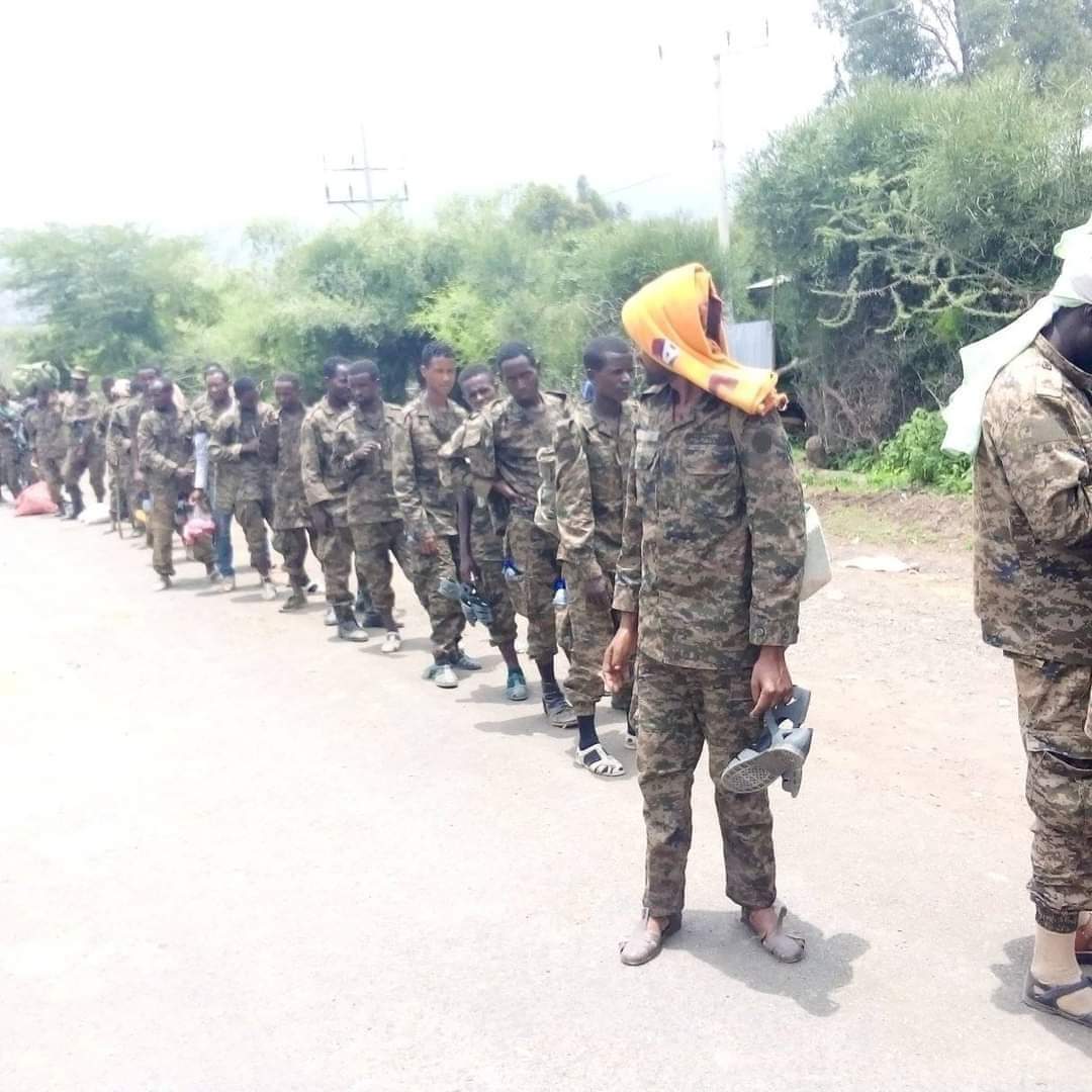 FB IMG 1661772199790 إثيوبيا .. نشطاء إثيوبيين يتداولون صورا لعشرات الجنود الاثيوبيين أسري لدي قوات " تيجراي " 