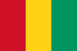 Flag of Guinea.svg غينيا كوناكري تصاعد حدة المواجهات بين المتظاهرين والسلطات الأمنية .. والغموض سيد الموقف