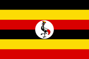 download 1 أوغندا.. غرق 5 أشخاص بينهم جندي إثر فيضانات شرق البلاد