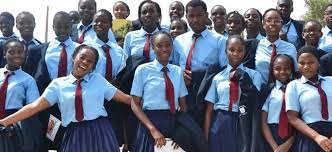 download 3 نيجيريا: منظمات المجتمع المدني اغلاق المدارس بسبب تهديدات قطاع الطرق غير مقبول