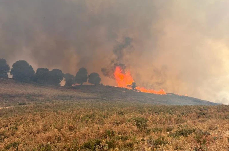 incendie ifrane 3 المغرب.. فرق الإطفاء تسابق الزمن للسيطرة علي حرائق بالقرب من مدينة "إفران"