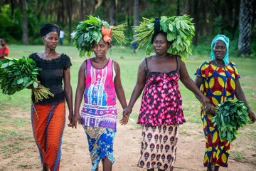 ١٠٣٣٥٦ زراعة وبيع الخضراوات الطازجة للمدارس في سيراليون بدعم من برنامج الأغذية العالمي