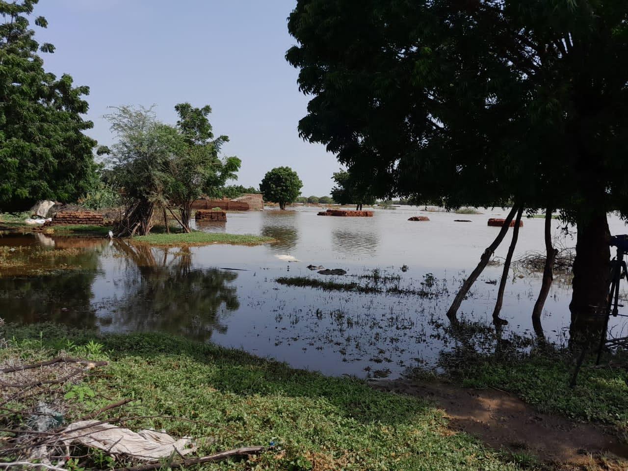 السودان .. وزارة المالية السودانية تحدد رسوم مياة الري في المشروعات القومية 1 542356 0ylxfFMO2yIjgiW6m0b6LOiEgBo oVuA 1 السودان .. وزارة المالية السودانية تحدد رسوم مياة الري في المشروعات القومية