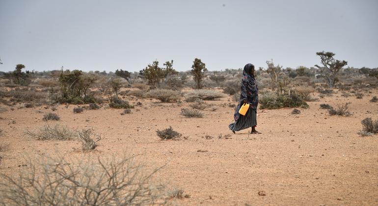 image770x420cropped 11 الأمم المتحدة تطلق التحذير الاخير .. الصومال علي شفا المجاعة 