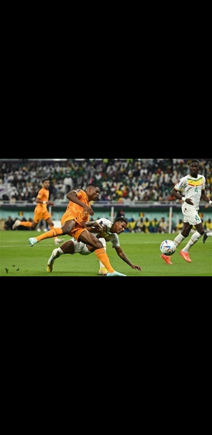 1669053850968.JPEG هولندا تحقق فوزاً مثيراً على المنتخب السنغالي في الدقائق الأخيرة