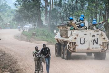 image350x235cropped 1 مباحثات أمريكية كينية حول الوضع في شرق الكونغو