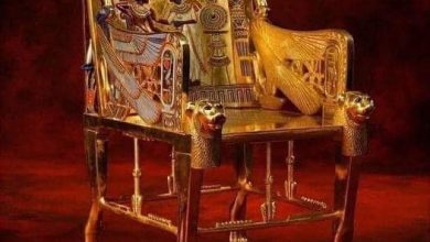 شاهد عظمة ملوك مصر هذا كرسي الملك "توت عنخ امون" الذي حكم قبل 3500 عام 11 319983907 687104999775985 4889424792982275574 n شاهد عظمة ملوك مصر هذا كرسي الملك "توت عنخ امون" الذي حكم قبل 3500 عام