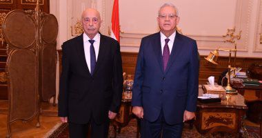 رئيس مجلس النواب: مصر تؤكد على حق ليبيا في الحفاظ على وحدة أراضيها 1 IMG 20221201 WA0038 رئيس مجلس النواب: مصر تؤكد على حق ليبيا في الحفاظ على وحدة أراضيها