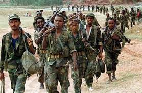 download 2 إثيوبيا.. القوات الأريترية تقتل 111 من المدنيين وتصيب العشرات في تيجراي