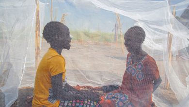 image1024x768 « الصحة العالمية » : أفريقيا الأمثر تضررا من مرض الملاريا الفتاك