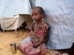 images 1 الصومال.. الأمم المتحدة تحذر 7.8 مليون صومالي سيتعرضون لكارثة بسبب الجفاف