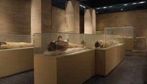 المومياوات مصر..65 زائراً من مختلف قارات العالم يزورون مركز ترميمي الأثار بالمتحف القومي للحضارة المصرية
