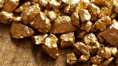 62 180142 discussions uae drc regulate gold trade 700x400 شراكة بين الإمارات والكونغو الديمقراطية لوقف تهريب الذهب