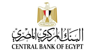 FB IMG 1674899118771 مصر .. «  البنك المركزي المصري » :طفرة في التيسيرات البنكية لذوي الهمم 