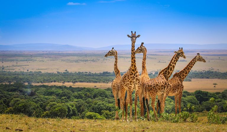 إفريقيا.. تعرف علي أفضل الوجهات السياحية فيالقارة السمراء لعام 2022 ؟ 1 143 171102 best tourist destinations africa 2022 9 إفريقيا.. تعرف علي أفضل الوجهات السياحية فيالقارة السمراء لعام 2022 ؟
