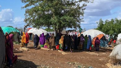 HCR Somalie الصومال.. 60 ألف شخص فروا من انعدام الأمن في أرض الصومال