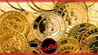 مصر .. ضبط تشكيل عصابي دولي نصب على مواطنين 5 16230 W مصر .. ضبط تشكيل عصابي دولي نصب على مواطنين