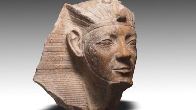 3a608a3e b451 4c50 9476 26438ee012b4 مصر .. الكشف عن مزيد من بقايا معبد الشمس بمنطقة المطرية