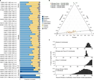 41586 2023 5754 Fig2 HTML دراسة : الحمض النووي لـ "السواحيلية" هم خليط من الافارقة والعرب والفرس والهنود
