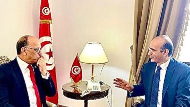 IMG ٢٠٢٣٠٣١٩ ١٠٤٣٢٤ السفير التونسي بالقاهرة : نقدر مصر بقيادة الرئيس السيسي لدعمها لتونس في كافة المجالات