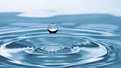 drop of water 578897 1920 دراسة:إنخفاض استخدام المياه بنسبة 6 % في أفريقيا
