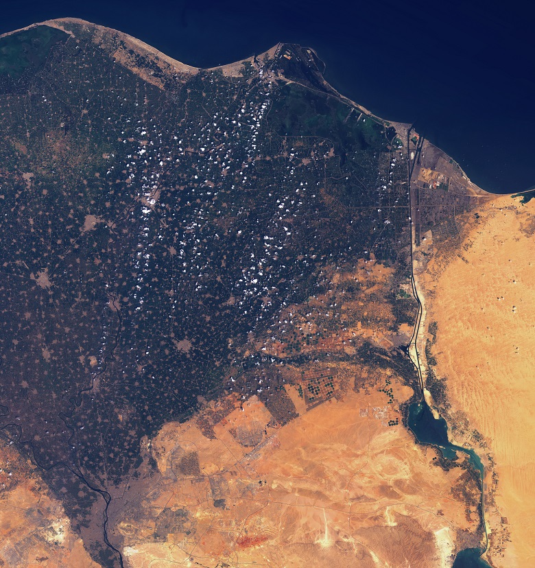 مصر.. مشروع الدلتا الجديدة الزراعي يضيف لمصر 2.2 مليون فدان 1 mail مصر.. مشروع الدلتا الجديدة الزراعي يضيف لمصر 2.2 مليون فدان