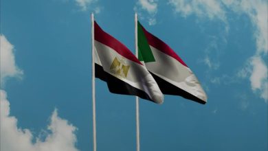 «  شكرا مصر » احتفالية كبري للجالية السودانية في مصر   6 manar 05024740015150466818 «  شكرا مصر » احتفالية كبري للجالية السودانية في مصر