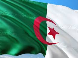 الجزائر الجزائر .. ضبط 8 عناصر دعم للجماعات الإرهابية و295 مهاجرا غير شرعي