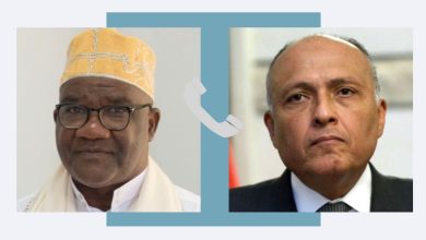 IMG 20230423 WA0008 مصر تواصل تحركاتها واتصالاتها الدبلوماسية لبحث سبل إنهاء الأزمة في السودان 