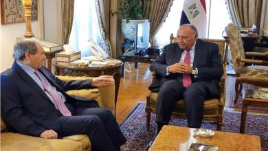 images 1 مباحثات ثنائية بين وزير الخارجية المصري ونظيره السوري