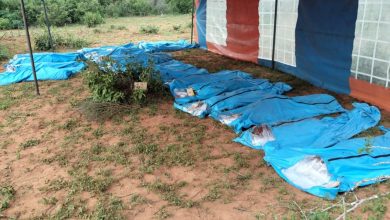 كينيا.. إنتشال 39 جثة من اتباع "قس" أوهم بالصوم حتي الموت للقاء يسوع 6 kilifi cult 3 كينيا.. إنتشال 39 جثة من اتباع "قس" أوهم بالصوم حتي الموت للقاء يسوع