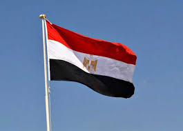 مصدر مصري مسؤول ينفي لـ"القاهرة الإخبارية" إنتاج مصر 40 ألف صاروخ لشحنها لروسيا 1 تنزيل مصدر مصري مسؤول ينفي لـ"القاهرة الإخبارية" إنتاج مصر 40 ألف صاروخ لشحنها لروسيا