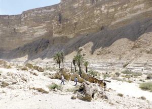 977212 0 القيسوني: يكتب.. وادي الرشراش أول محمية في تاريخ مصر