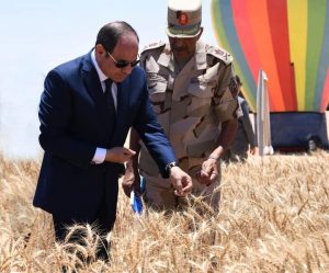 FB IMG 1684079218982 بالصور .. الرئيس المصري يشهد افتتاح موسم حصاد القمح بشرق العوينات