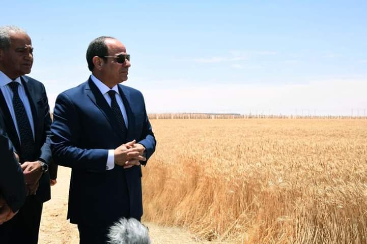 FB IMG 1684079223627 بالصور .. الرئيس المصري يشهد افتتاح موسم حصاد القمح بشرق العوينات