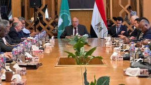 IMG 20230515 WA0003 بمناسبة يوم أفريقيا : وزير الخارجية المصري يؤكد التزام مصر ببذل الجهود لتحقيق المصلحة الأفريقية