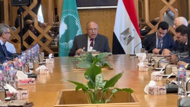 IMG 20230515 WA0004 بمناسبة يوم أفريقيا : وزير الخارجية المصري يؤكد التزام مصر ببذل الجهود لتحقيق المصلحة الأفريقية