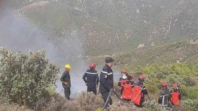 231dc109d3698226af2140e69c72e1d9 M المغرب يعرب عن خالص تعازيه الجزائر في ضحايا حرائق الغابات