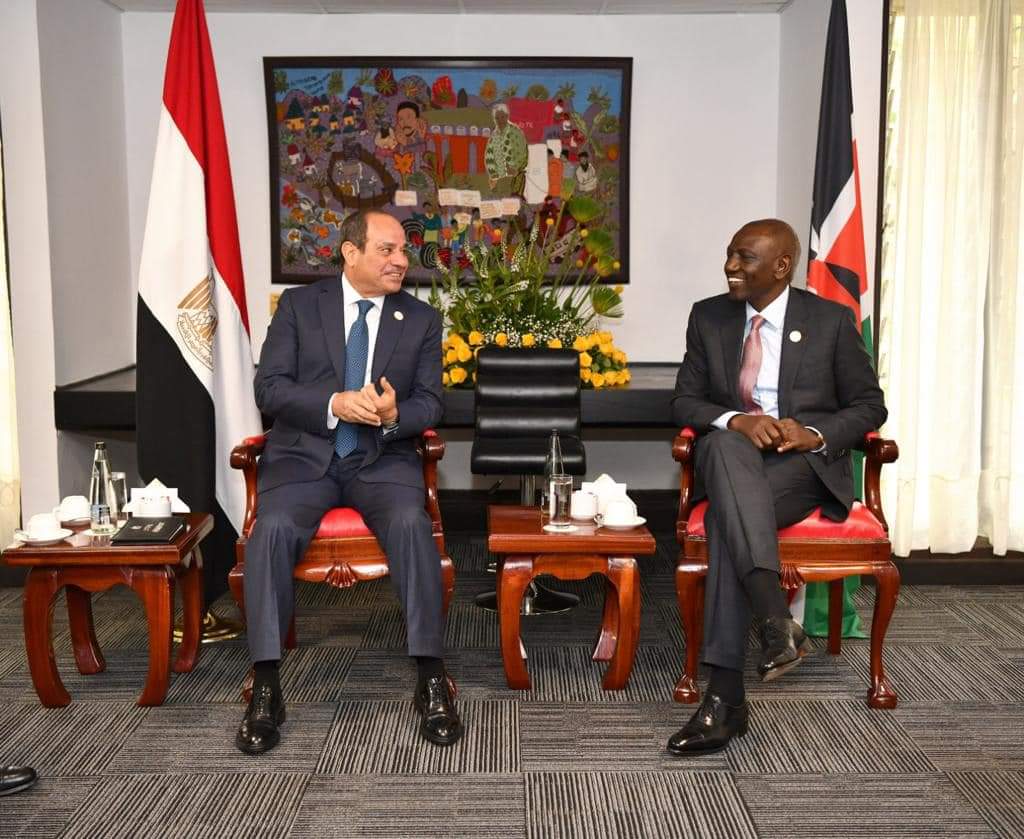 FB IMG 1689511291287 الرئيس السيسي يبحث مع « روتو » الأوضاع في منطقتي القرن الأفريقي وحوض النيل والأزمة في السودان