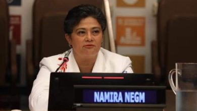 " إنجاز جديد للمرأة المصرية " .. « نجم » في التصفية النهائية لجائزة أبرز قانونية في العالم 24 FB IMG 1689799840020 " إنجاز جديد للمرأة المصرية " .. « نجم » في التصفية النهائية لجائزة أبرز قانونية في العالم