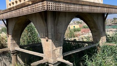 مصر..الانتهاء من مشروع فك وإعادة تركيب قبة "رقية دودو" بمنطقة الإمام الشافعي 11 f06030a0 9902 40bd 91e7 c49489a78bee مصر..الانتهاء من مشروع فك وإعادة تركيب قبة "رقية دودو" بمنطقة الإمام الشافعي