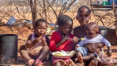 في غرب أفريقيا الأمم المتحدة: الملايين في غرب إفريقيا معرضون لأسوأ أزمة جوع 