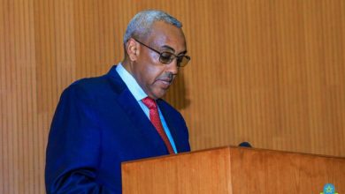 1 إثيوبيا .. « الحكومة » تؤكد التزامها بالتنفيذ الكامل لاتفاق بريتوريا للسلام