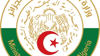 Algerie2 1200x1198 1 الجزائر.. تحذر من نوايا التدخل العسكري الأجنبي في النيجر